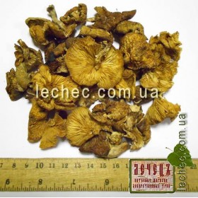 Опенок зимний (фламмулина) гриб сушеный резаный (Flammulina velutipes)