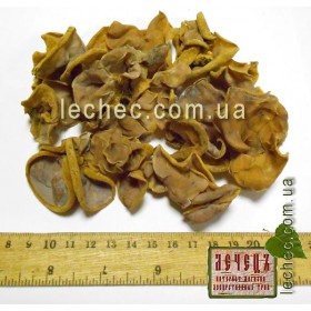 Мейтаке гриб целый китайский светлый (Grifola frondosa) 