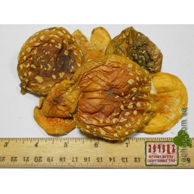 Мухомор гриб сушеный (Amanita) 