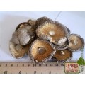 Шиитаке, шитаке, ши-итаке  гриб сушеный (Lentinula edodes)