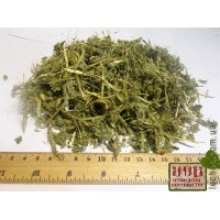 Алтей лекарственный трава (Althaea officinalis)