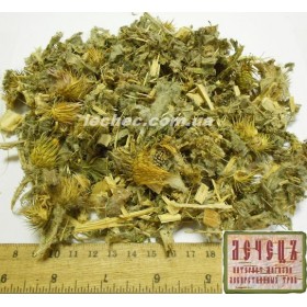 Чертополох трава (Carduus )
