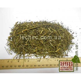 Льнянка обыкновенная трава (Linaria vulgaris Mill.)