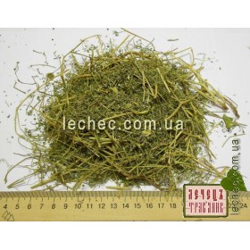 Дымянка лекарственная трава (Fumaria officinalis)
