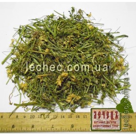Вязель пестрый трава (Coronilla varia)
