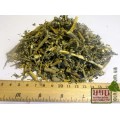 Полынь горькая трава (Artemisia absinthium)
