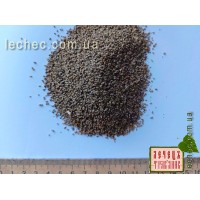 Петрушка семена (Petroselinum )