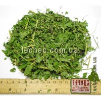 Астрагал сладколистный трава  (Astragalus glycyphyllos)