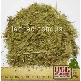 Кипрей мелколистный трава (Epilobii herba). 