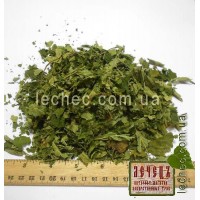 Лещина лист (Abellanus)