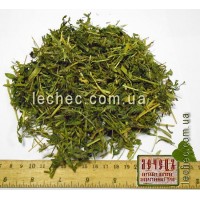 Леспедеца головчатая трава (Lespedeza capitata)
