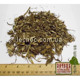 Ястребинка волосистая трава (Hieracium pilosella)