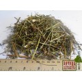 Зверобой продырявленный трава (Hypericum perforatum)