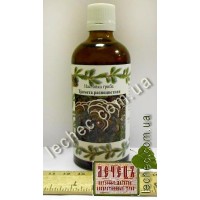 Настойка гриба трамета разноцветная (Trametes versicolor)