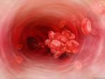 Геморрагии и тромбозы 