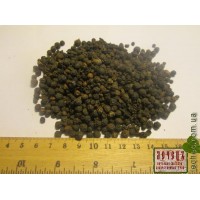 Перец черный горошек (Piper nigrum)