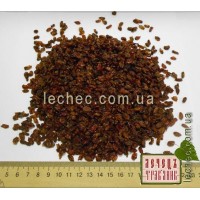 Барбарис красный плод (Berberis)