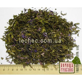 Иван-чай капорский листовой (Chamaenerion angustifolium (L.) 