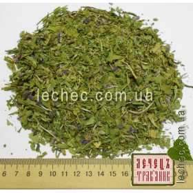 Иван-чай лист Украина (Chamaenerion angustifolium (L.) 
