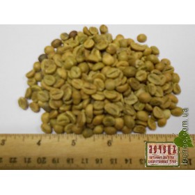 Зеленый кофе (Арабика Бразилия)Viridi capulus (arabica Brazil). 