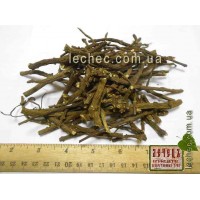 Мыльнянка лекарственная корень (Saponaria officinalis)