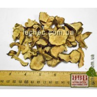 Подсолнечник клубненосный, топинамбур, земляная груша (Helianthus tuberosus). 