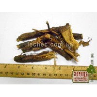 Шиповник корень (Rоsa)