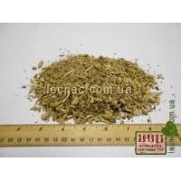 Аралия маньчжурская корень (Aralia mandshurica Rupr. et Maxim.)