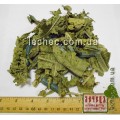 Борщевик обыкновенный лист (Heracleum)