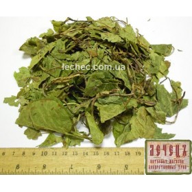 Черника обыкновенная лист (Vaccinium myrtillus)