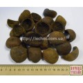 Черный орех зеленая кожура (Juglans nigra)