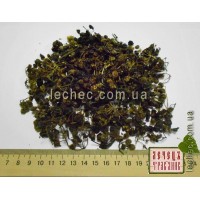 Паслен плоды (Solanum nigrum)