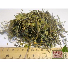 Черника обыкновенная побеги (Vaccinium myrtillus)