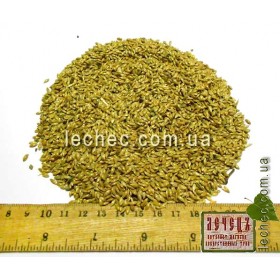 Канареечник семена для посева  (Phalaris canariensis) 