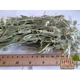 Ясколка полевая/ луговая трава (Cerastium arvense)
