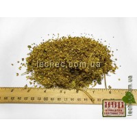 Бузина черная цвет (Sambucus nigra)