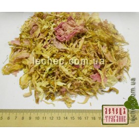 Пион розовый лепестки (Paeonia)