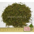 Хохлатка плотная цвет с травой (Corydalis solida)
