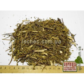 Коровяк метельчатый (заячье ухо) трава с цветом (Verbascum lychnitis L.)