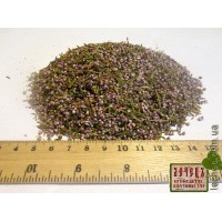 Вереск обыкновенный трава с цветком (Calluna vulgaris (L.) Hill)