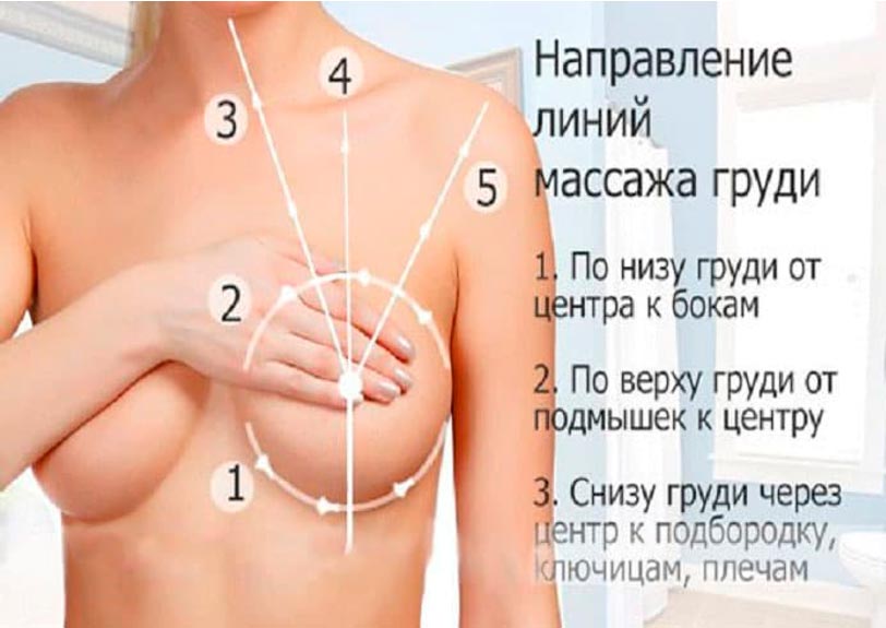 Направление линий массажа груди